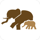 African Safariguide Lite icon