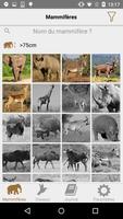 African Safariguide Lite Affiche