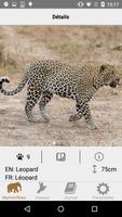 African Safariguide Lite capture d'écran 1