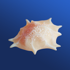 AR Osteoclasts 아이콘