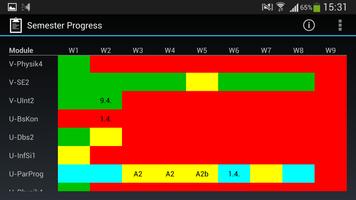 Semester Progress Affiche