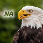 Nature - North America-icoon