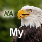 Nature My - North America simgesi
