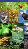 Poster Nature My - Nord America