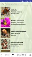 1 Schermata Nature My - Nord America