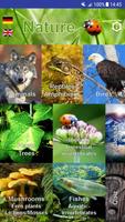 Nature My - North America plakat