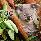 Nature - Océanie icône