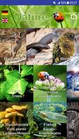 Nature - Oceania poster