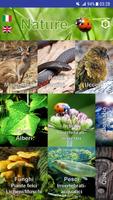 Poster Nature - Oceania