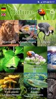 Nature - Africa Cartaz