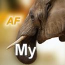 Nature My - Africa APK