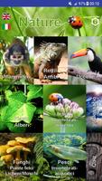 Poster Nature - Sud America