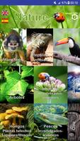 Nature My - Sudamérica Poster