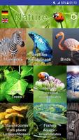 Nature - World 海報