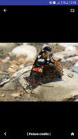 Nature - World 截圖 3