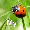 Nature My - Monde APK