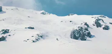 White Risk - SLF Avalanche App