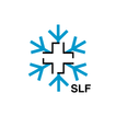 White Risk - SLF App avalanche