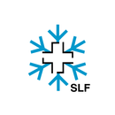 White Risk - SLF Lawinen-App APK