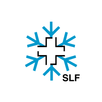 White Risk - SLF Lawinen-App APK