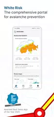 White Risk - SLF Avalanche App XAPK download