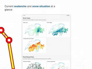 White Risk - SLF Avalanche App XAPK download