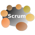 Daily Scrum Timer