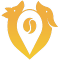 Play-Dogs Discover new walks with your dog