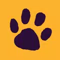 PlayDogs