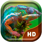 3D Chameleon Live Wallpaper icône