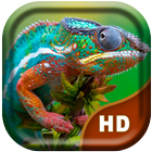 3D Chameleon Live Wallpaper アイコン