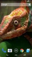 3D Chameleon Live Wallpaper ポスター