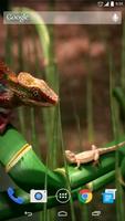 3D Chameleon Live Wallpaper スクリーンショット 1