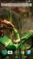 3D Chameleon Live Wallpaper スクリーンショット 2