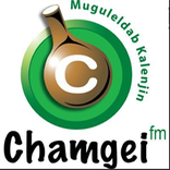 chamgei fm