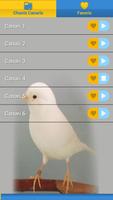 canary song screenshot 1