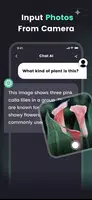 Chat AI screenshot 5
