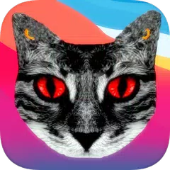 Historias de Terror y de Miedo - Chat Stories ES APK Herunterladen