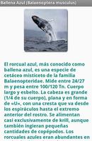 Ballenas 스크린샷 2