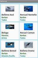 Ballenas screenshot 3