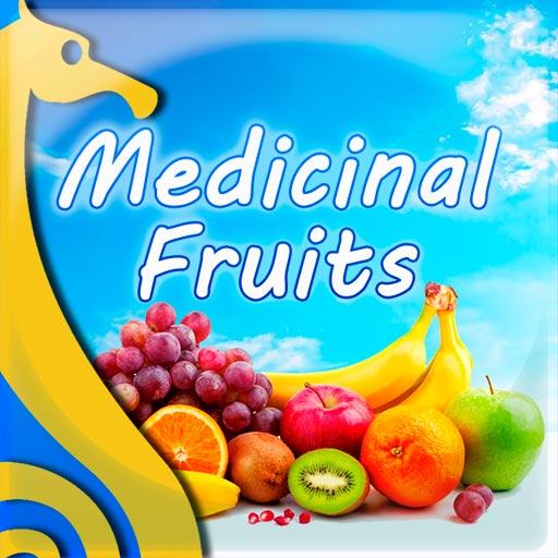 Medicinal Fruits