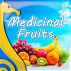 ikon Frutas Medicinales
