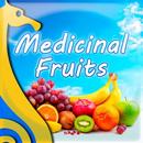 Frutas Medicinales APK