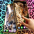 Cheetah leopard live wallpaper icon