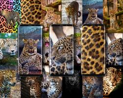 Çita leopar canlı duvar kağıdı Ekran Görüntüsü 1