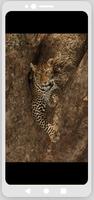 Cheetah print wallpaper 截图 1