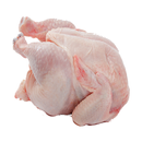 Chicken Meat APK