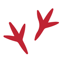 Eat Chicken Foot APK