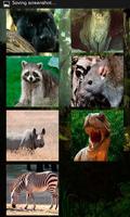 Chinese Animals Soundeffect ภาพหน้าจอ 1