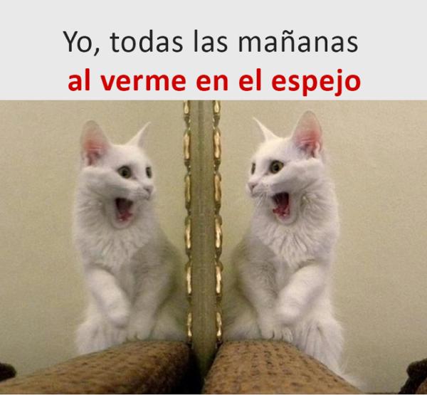 Chistes buenos con imagenes APK pour Android Télécharger Chistes buenos con imagenes APK pour Android Télécharger